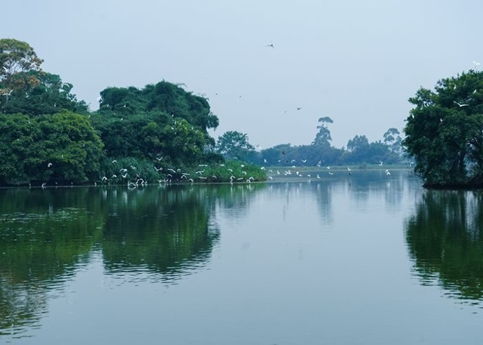 ӵ�������ʷ�Ĺ㶫�����»ᡰС�����á�����򻯱䡰�������á���