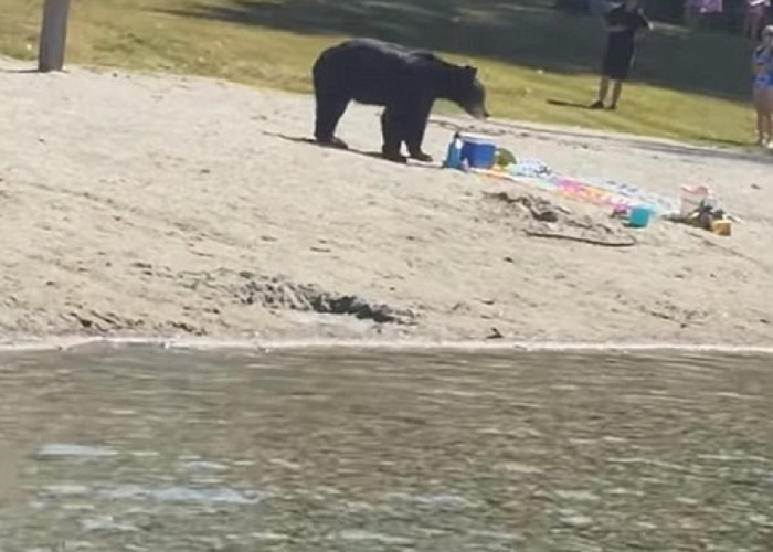 ����������ʫʡ����ɳ̲��Ӿ���ŵ���ɢ��