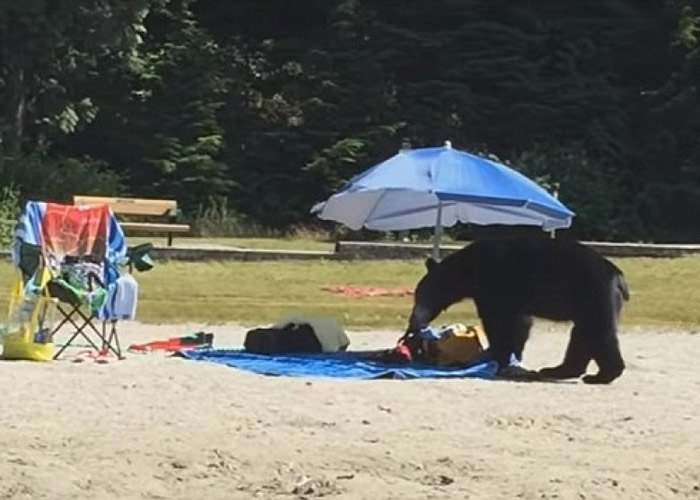 ������ɳ̲�������ң�����һ������