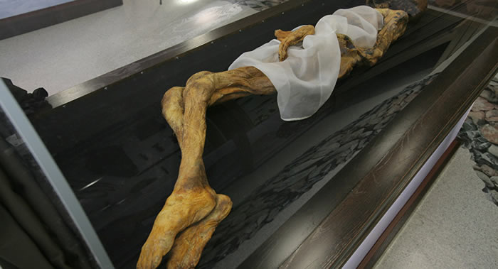 “世界无国界”:北京大学师生赴俄罗斯或能看到“阿尔泰公主”或“乌卡克公主”干尸