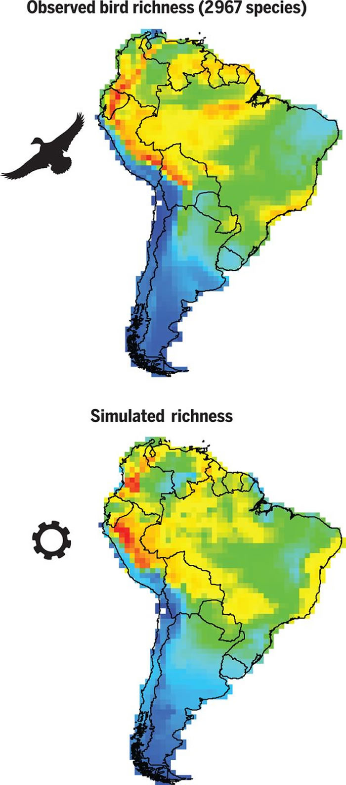 从摇篮至坟墓:对生态学和生物多样性演化的建模