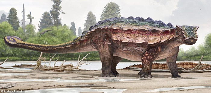 美国犹他州发现的古老恐龙Akainacephalus johnsoni被盔甲覆盖