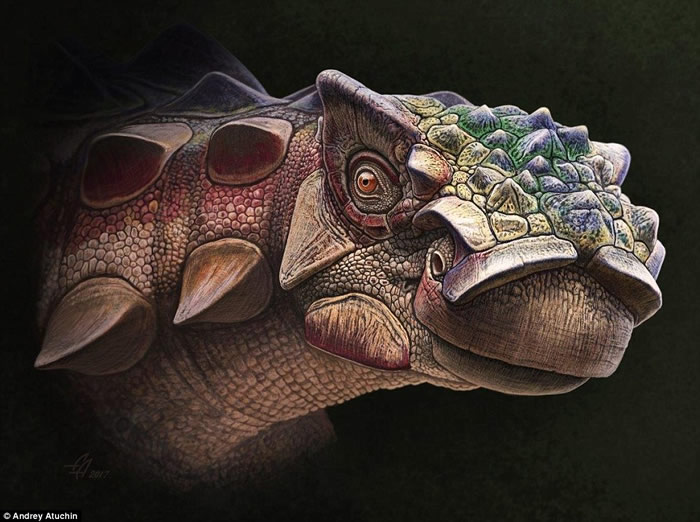 美国犹他州发现的古老恐龙Akainacephalus johnsoni被盔甲覆盖