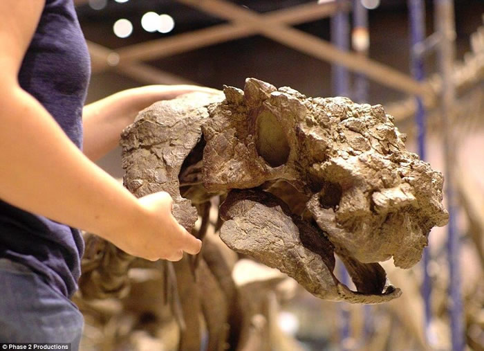 美国犹他州发现的古老恐龙Akainacephalus johnsoni被盔甲覆盖