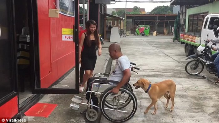 ���ɱ���Ȯ���벻�� Ϊ�м�����������