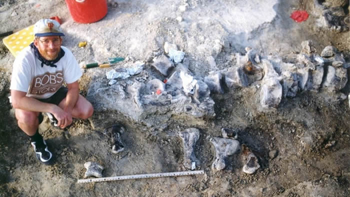 ѧҳƻݵġŹ֡ӡֵӡʯ