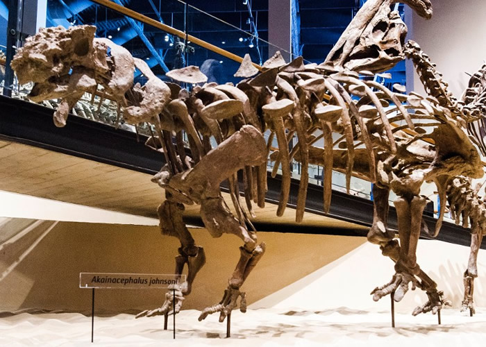 ���������ݷ��ְ��Ѽͺ��ڼ�����Ʒ�� �����������޽���