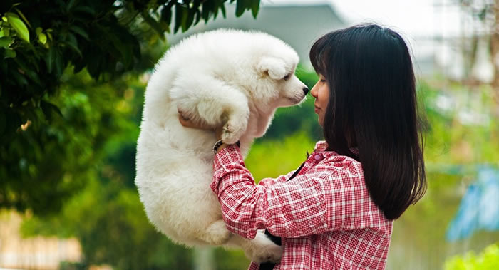 ����Լ��∙���ս�˹��ѧ��ѧ�ҷ��ֹ��������˱���ķ�Ӧ