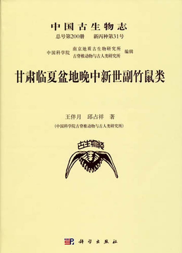 ������ר������