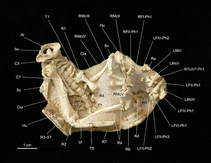 �������������������֣���ģ���ֹ������棨�����¹�ͼ��