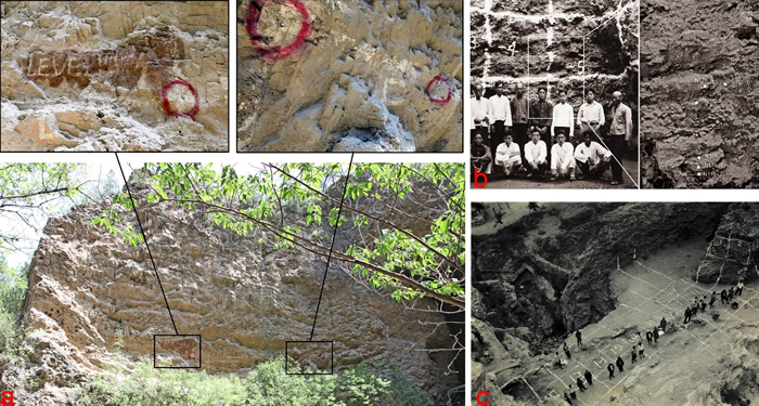 �ܿڵ���ַ��1�ص㶴�ڱ�����̽����ˮƽ��ۼ�����ַ����ƽ��