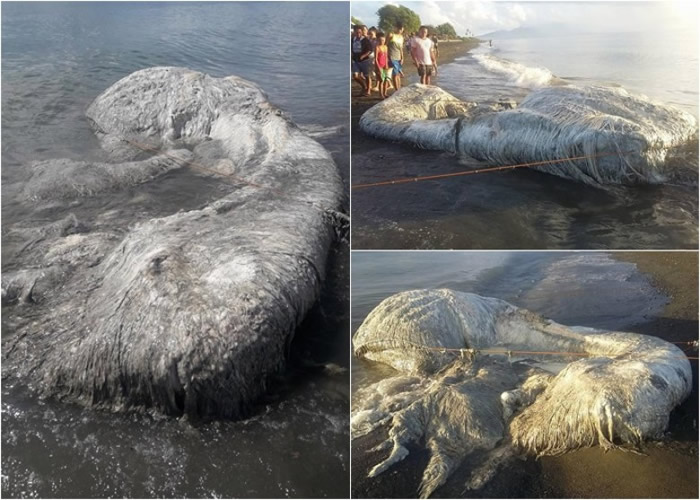 ����5�£���������ּ���һ���ġ����֡���