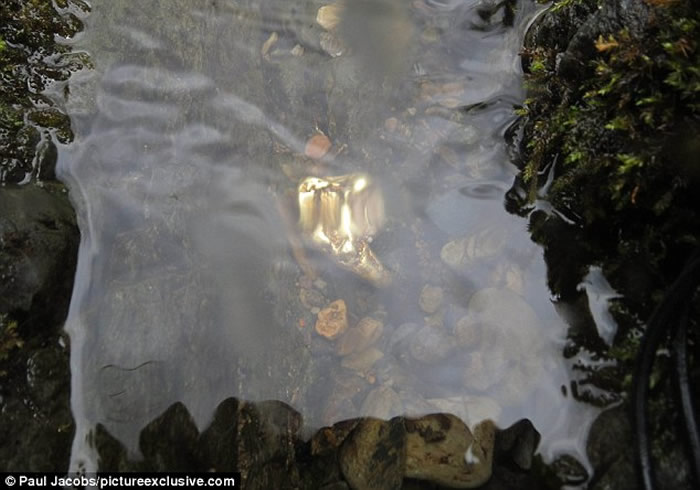 寻金猎人在英国河中发现高尔夫大小的“道格拉斯金块” 价值5万英镑