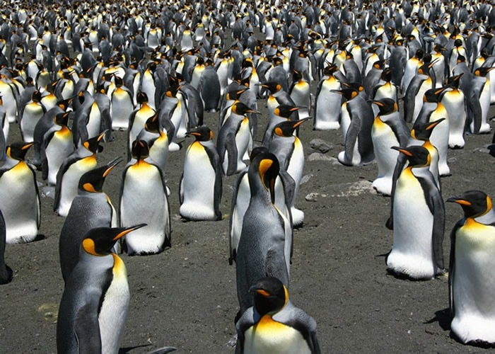 ���۵��ϵĹ���������������