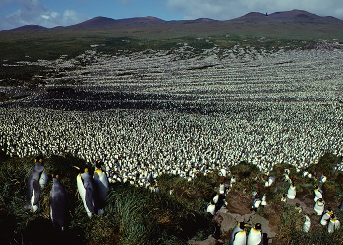 ���۵�����������Ĺ�����������ǵĻ�����ܲ�������