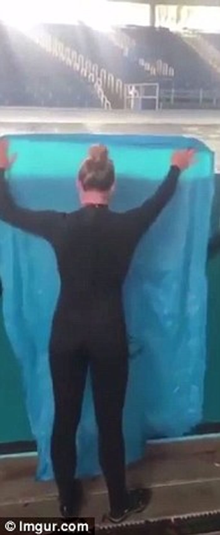 美国德州圣安东尼奥海洋世界女训练员玩消失魔术 聪明杀人鲸完全没有中计