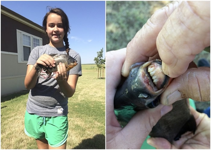 ����������������Ůͯ���ߵ���������ʳ������� ���ݷ���������