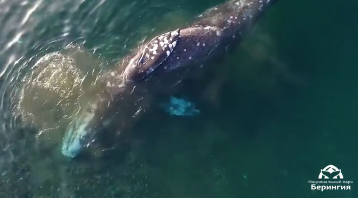 ����˹������½�š����ҹ�԰�ĵ�һͷ�Ҿ�������ʳ���ڶ���ʯ�ϡ�ץ����