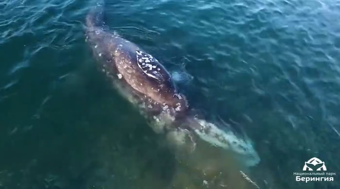 ����˹������½�š����ҹ�԰�ĵ�һͷ�Ҿ�������ʳ���ڶ���ʯ�ϡ�ץ����