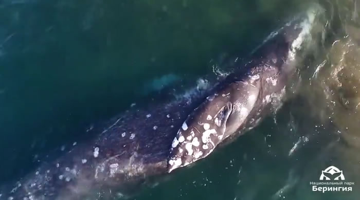 ����˹������½�š����ҹ�԰�ĵ�һͷ�Ҿ�������ʳ���ڶ���ʯ�ϡ�ץ����