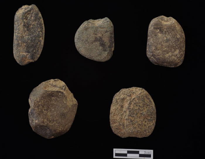 韩国江原道旌善郡洞穴发现旧石器时代小石块 还有鱼类脊骨和人类手指骨化石