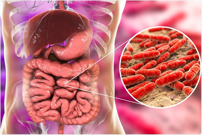 ��������������D-�����ж� ���Ŵ���˼��