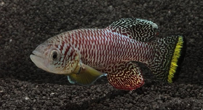 ����������ѧ�����������������Ķ����Ƿ�����������