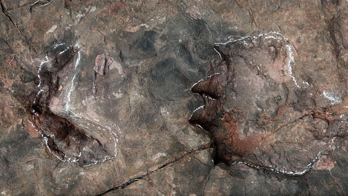 贵州省仁怀市茅台镇下侏罗统发现大规模蜥脚类恐龙足迹化石群