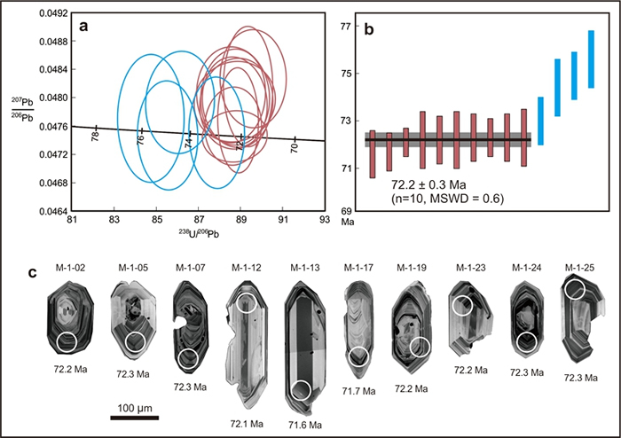 提林琥珀同位素年代学限制
