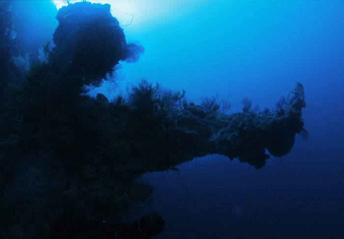 Ѱ�����������ڰ�Ľ�����Ǵ��̹Ŵ�����ʱ���֡�������̫�մ����к�