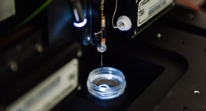 Scientific Reports:俄罗斯科学家研制出可分析化疗效果的纳米电极