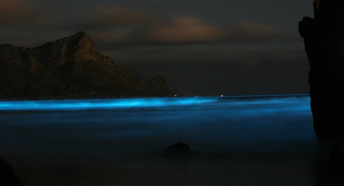 ��PLoS One������ѧ���ƽ��Ľ��������淢��֮��