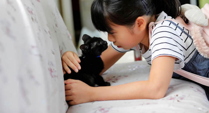 《应用动物行为科学》:匈牙利研究人员揭示为何猫咪更喜欢女性