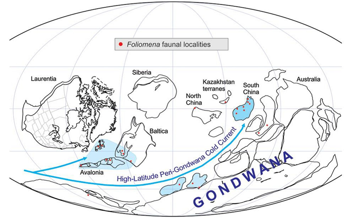 ��������ȫ��ŵ����������Ʋ�Ĺ���������·��