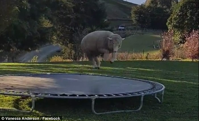 ����������͵͵���ڼ��к�԰������ ͷ����Ŀ������Ц