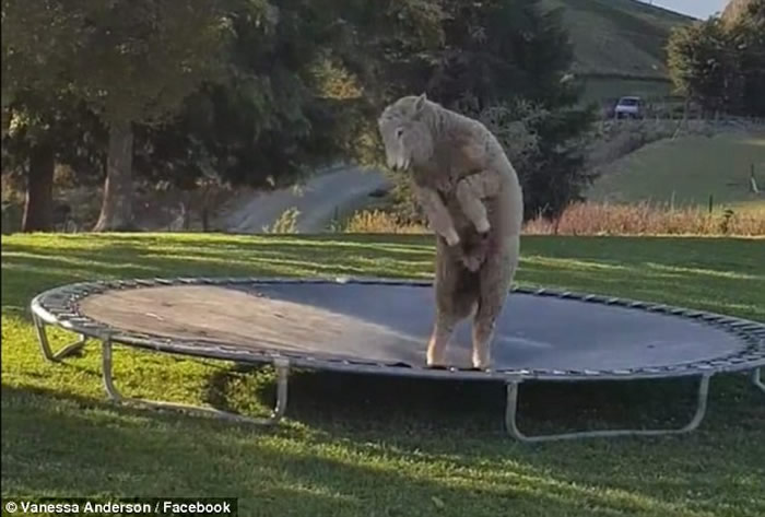 ����������͵͵���ڼ��к�԰������ ͷ����Ŀ������Ц