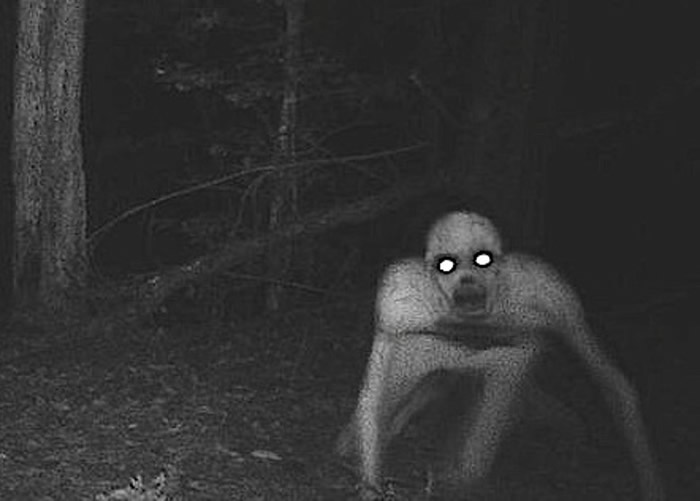 不少人声称曾目睹“The Rake”。