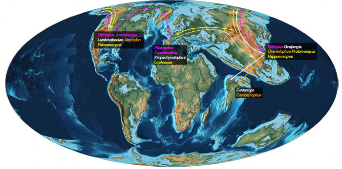根据系统发育和祖先类群的古地理分布重建早始新世奇蹄类的迁徙路线。粉色、白色、橙色,和黄色名称和线条分别代表马、雷兽、角形类,和爪兽类群及迁徙路线(白滨供图)