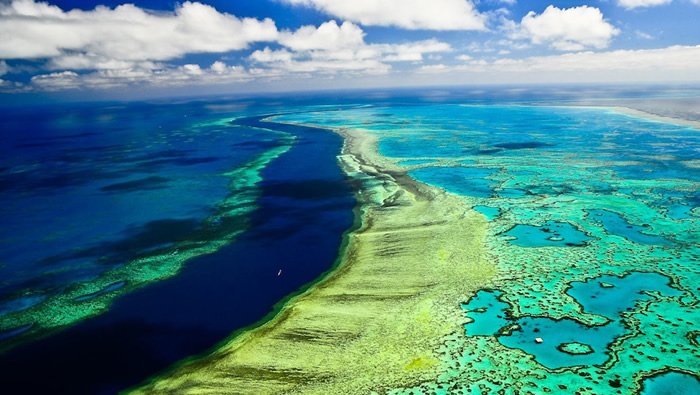《海洋科学前沿》:最新研究指大堡礁的白化其实从400年前就已经开始