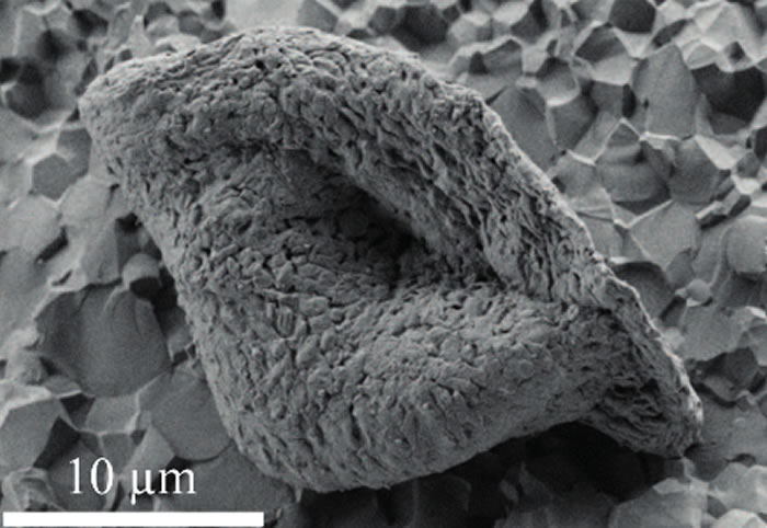 澳大利亚西部斯特尼湖发现早在34.6亿年前地球上就有生命存在的首个明确迹象