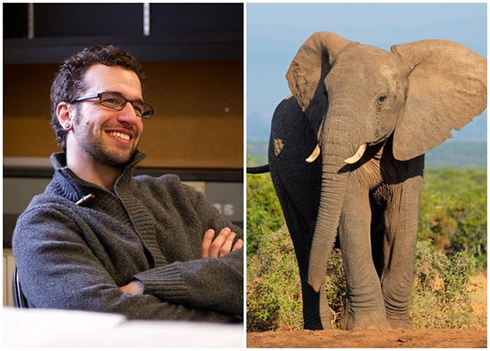 林奇(左图)等人的研究,揭示大象不易患癌的真正原因。