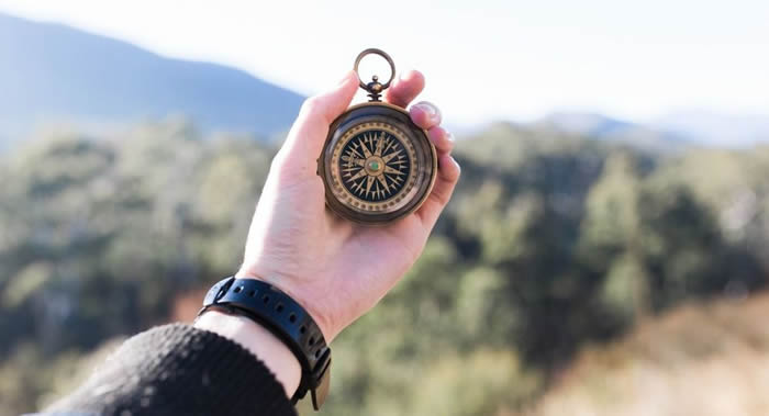 ����ѧ���ڡ�PNAS����־��������Ԥ�����ż���ת�ĺ��