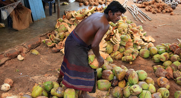 ��ѧ��ָ�����к���ʳƷ��Ҭ����