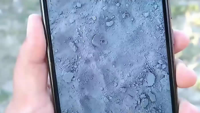 ��Ѫ���������ڿ�����ׯ����8ֻ������������ ������Ѫ�����϶��С���������