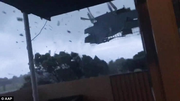 ������������ǿ����������Ϯ �����ݶ�������ɢ