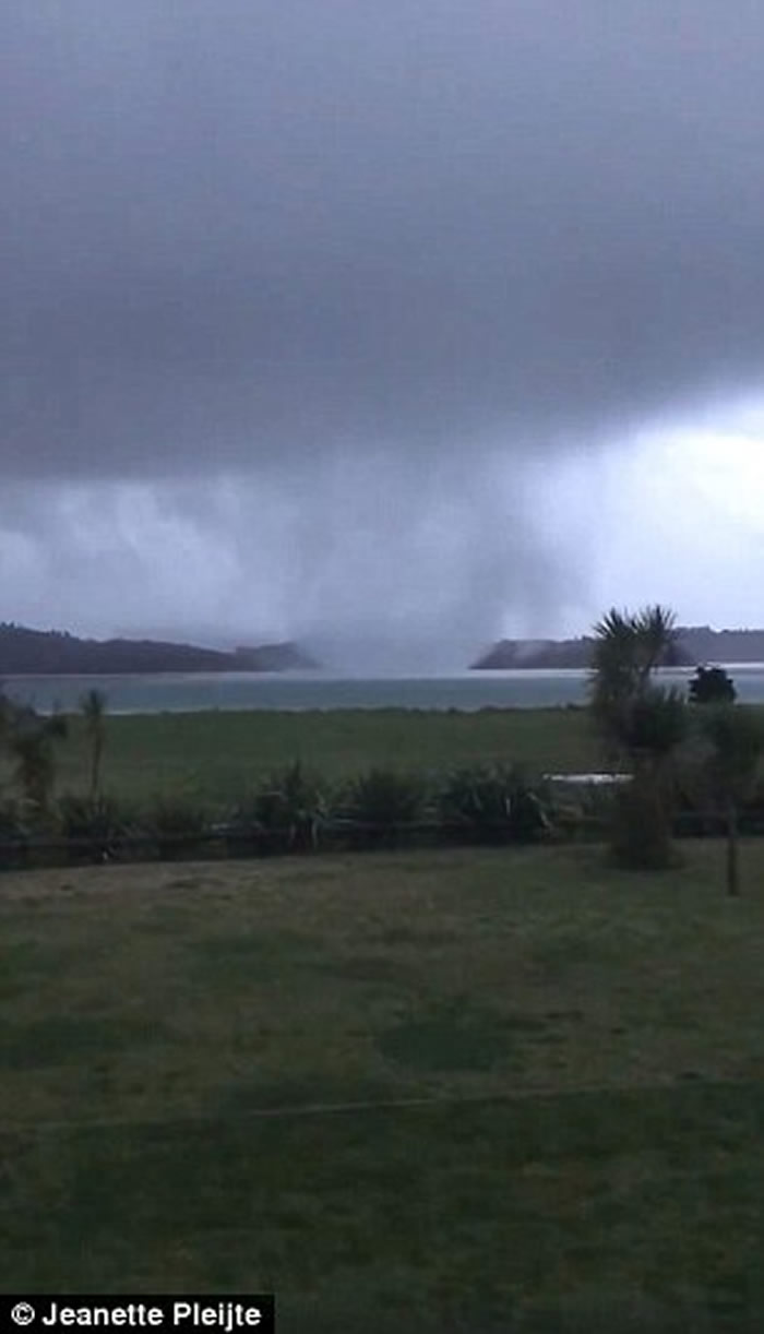 ������������ǿ����������Ϯ �����ݶ�������ɢ