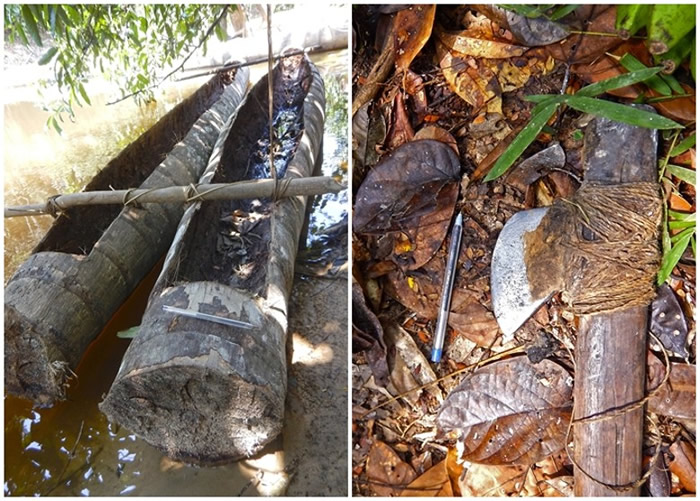 组织在地面考察时,发现土著使用独木舟和刀斧工具。