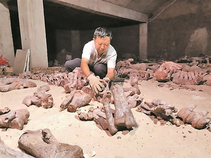 ���ϳ�������������»���ط����������������֣���������������