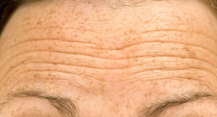 ��ѧ�ҷ��ֿ�ͨ����͵��������Ԥ�⻼������������