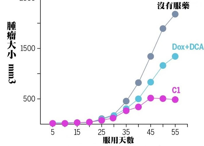 新药有效令肿瘤体积缩小。